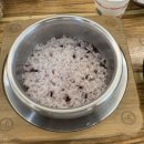 능이랑추어랑 | 능이버섯 향이 올라오는 순간🍄 목동 능이삼계탕