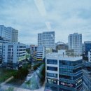 서화 행정사사무소 이미지