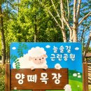 연희목장 | 5월 가볼만한 곳 고민 끝! 아이랑 가기 좋은 인천 피크닉 장소 총정리