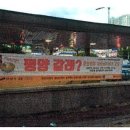 단독] “세월호 지원금으로 北찬양”... 뿔난 MZ들, 안산 시민단체 고발 이미지