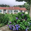 식당늘푸른분식늘푸른