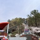 중원건강약국 이미지