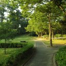 용산가족공원 이미지