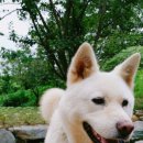 칠봉산민박 이미지