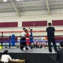 임재환 복싱월드 이미지