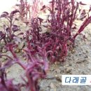 자은농장 이미지