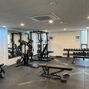 바디플렉스짐 개화산역점 이미지