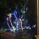 재바우화덕구이 이미지