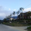 강여울 숲 이미지