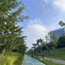 마라톤 LSD 20km 후기 | 더위 오기 전 새벽 러닝 + 수분보급 세팅 (존2 사투)