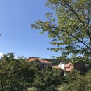 운중로166번길 이미지