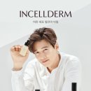 인셀덤 서초뷰티