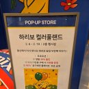 컬러풀 스타일 | 울산현대백화점 하리보 팝업 컬러풀랜드 후기｜위치·운영시간·굿즈·구매리뷰 총정리