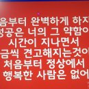 와이즈노마드