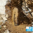우성종합공사