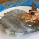 단스시 (DAN SUSHI) 학동역 회전초밥 후기 | 감성돔초밥 | 내돈내산