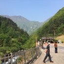 오일월드주유소 이미지