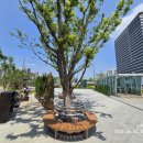 7번만남의 광장 이미지