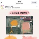 도그모루 애견유치원 이미지