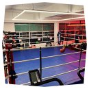 올스타 복싱클럽 이미지