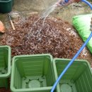 꿈나무농장 이미지