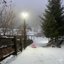 서일유치원 | 판교 현대 어린이책미술관 전시 주차 4시간에 회전목마까지