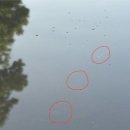 버니오토워시(고양향동점) | 고양향동 노브러쉬 구독형 자동세차장 : 버니오토워시 자세한 후기