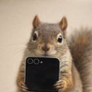 강죄횟수 테스트 | 갤럭시 Z 플립6 전시폰 후기｜이게 전시폰 맞아요? 기대 이상, 후회 없는 선택