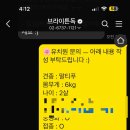 브라이튼독 이미지