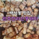 한라산똥돼지 이미지