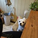 해피버트데이 이미지