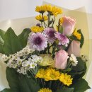 마곡새봄약국 이미지