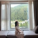 자연주의디자인하우스 | 정선 파크로쉬 리조트앤웰니스 / 1박 2일이 모자랐던 후기 (부대시설 총정리)