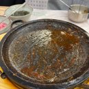 부산오징어 이미지