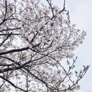 도마2동 행정복지센터 이미지