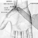 【수태음폐경(手太陰肺經)】 〔수태음폐경 (LU) ＞ LU9 태연 (太淵)〕 이미지