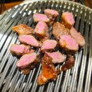통갈매기바다로날다