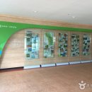 곡성군청소년야영장 이미지