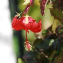 센트럴호텔(CENTRAL HOTEL) 이미지