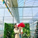 아인농장 이미지