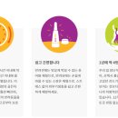 평택바른동물약국 네이버블로그