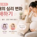 차성환경 | 임신 후기 아내의 심리 변화. 출산 공포, 불안, 감정 기복의 원인