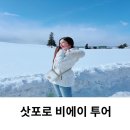 흰그림자투어 비에이 투어 준페이 예약 크리스마스트리 흰수염폭포 후기