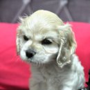 (주)마더스팜 이미지