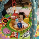 플레이팜 이미지