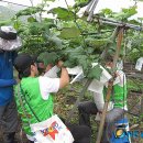 홈플러스 보령점 이미지