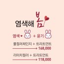 봄헤어스프링헤어