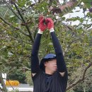 도호농장 이미지