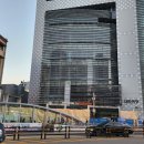 싱싱오징어 이미지