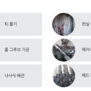 엔에스이엔지 이미지